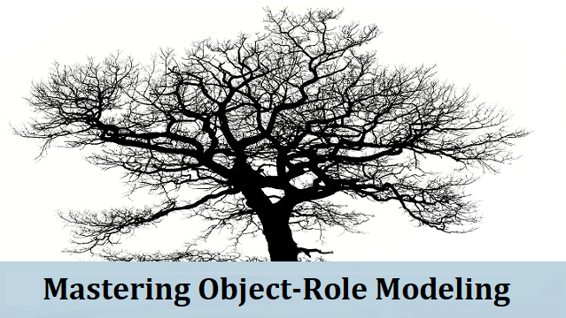 Mastering Object-Role Modeling 582